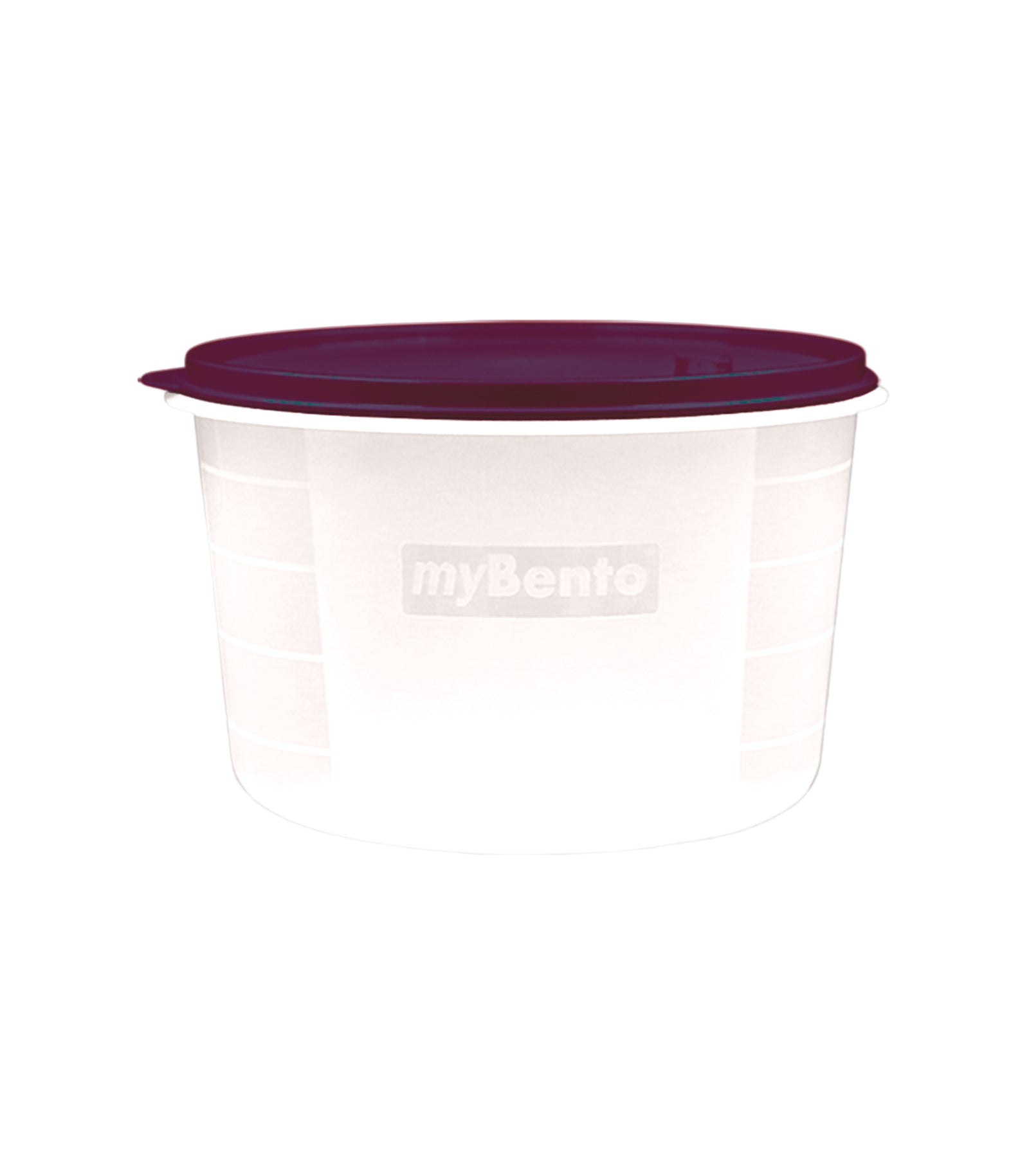 Storage Container - My Bento