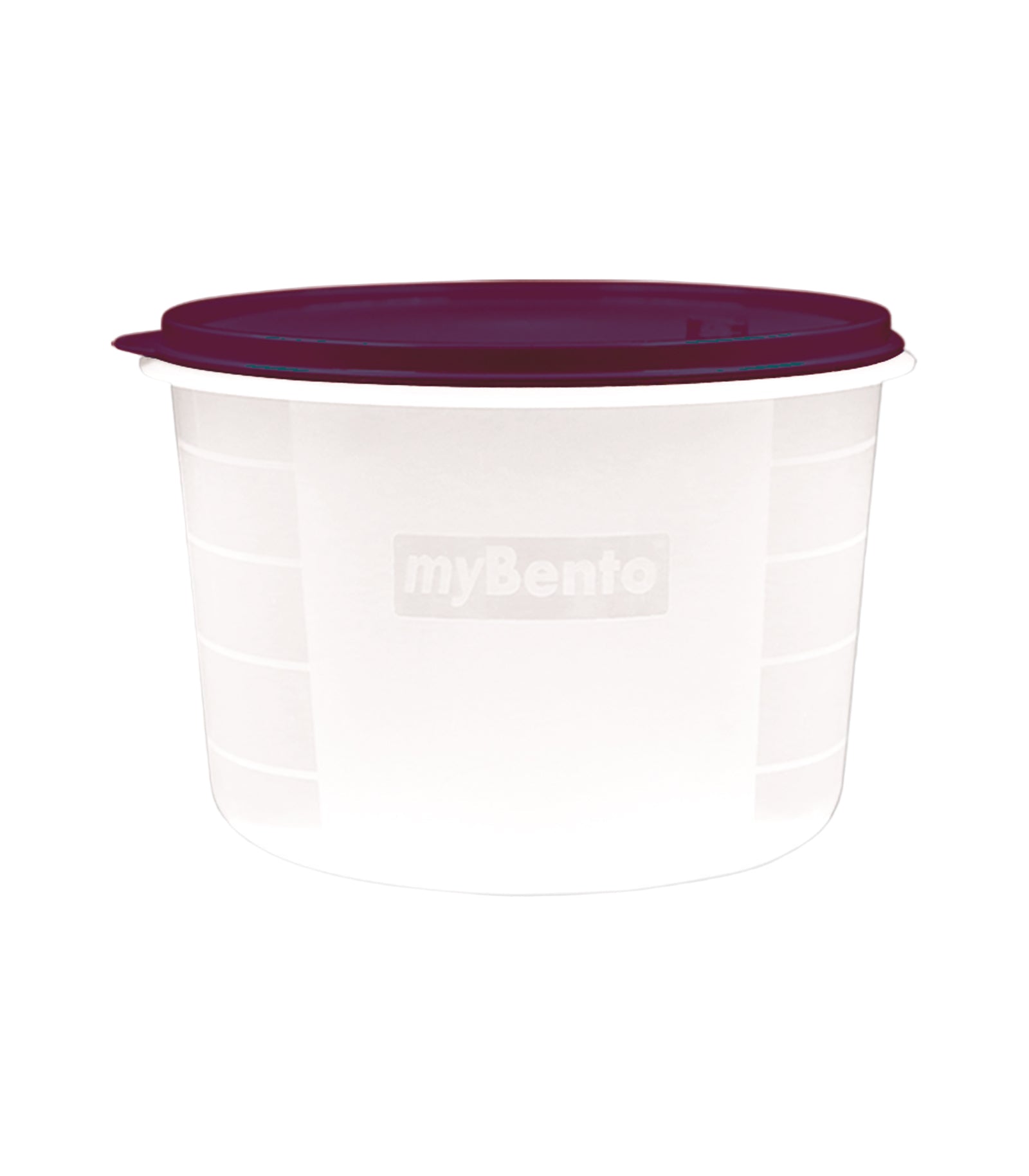 Storage Container - My Bento