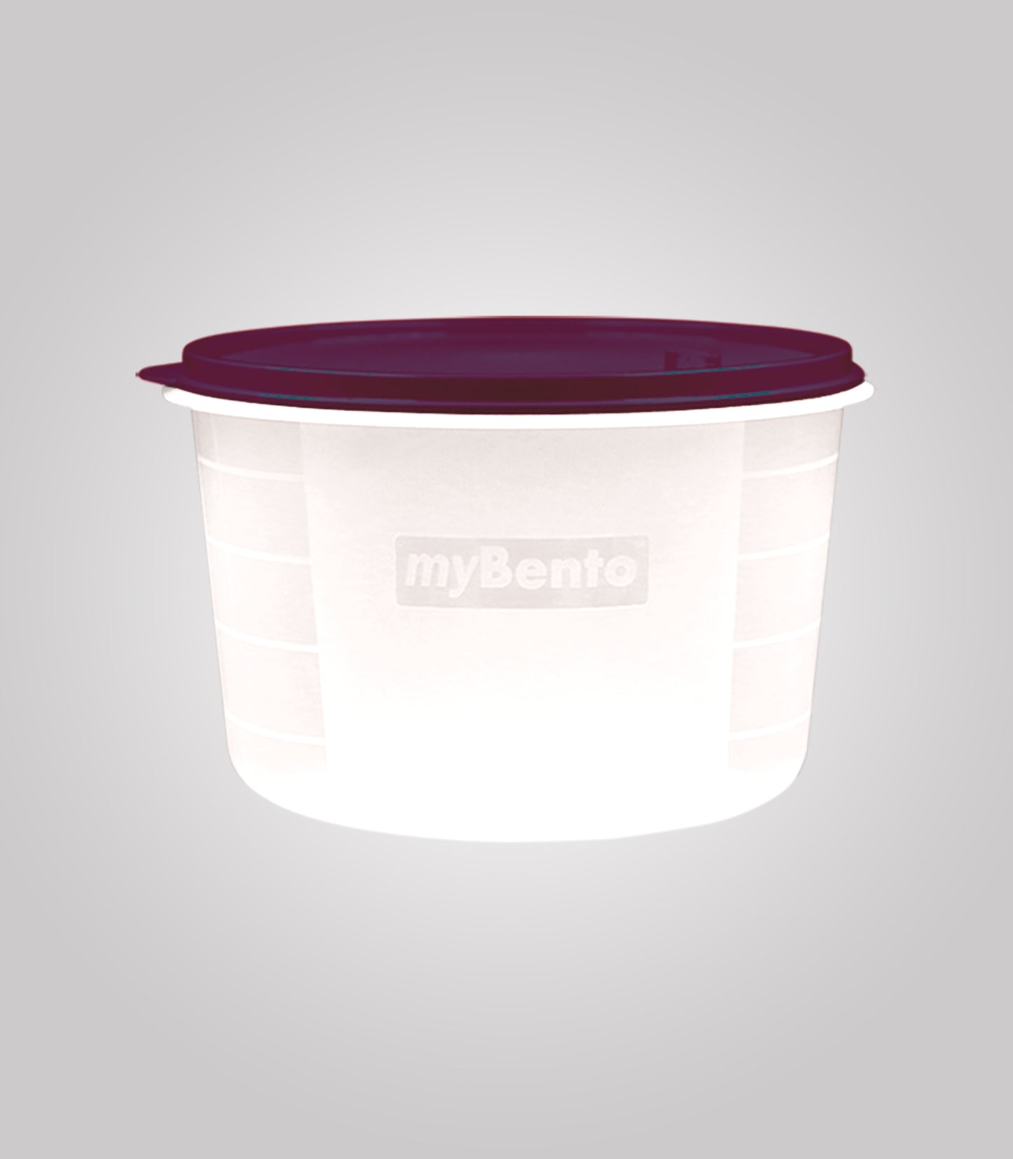 Storage Container - My Bento
