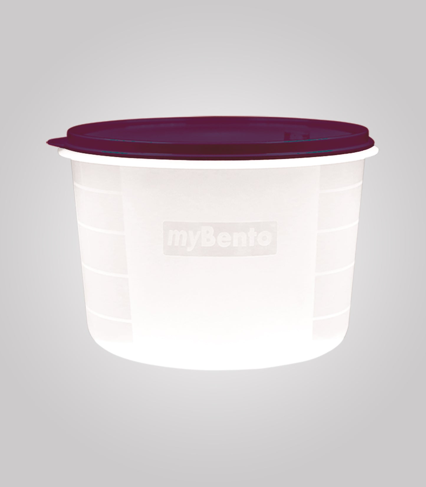 Storage Container - My Bento