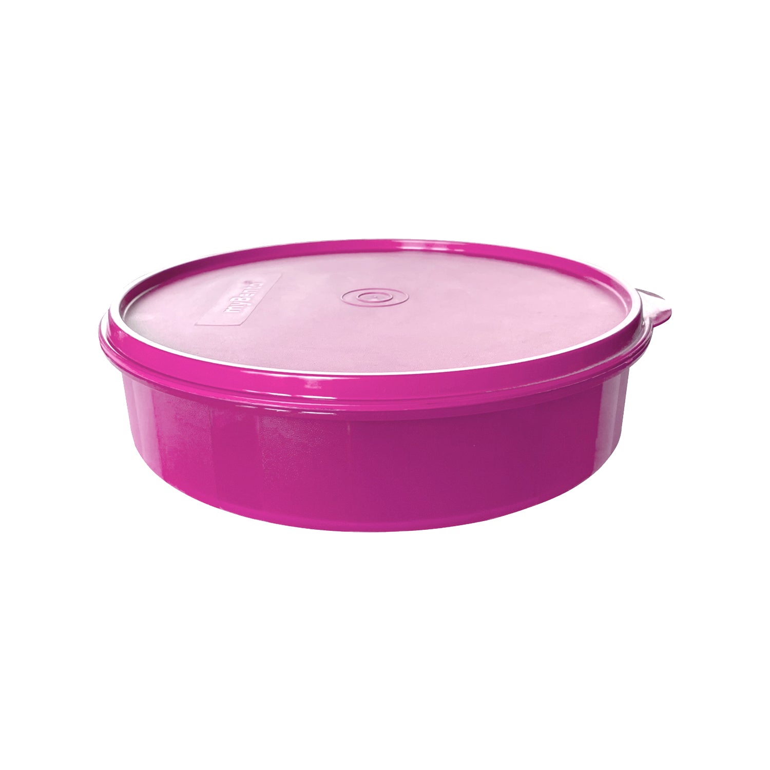 Chappathi/Pappad Box