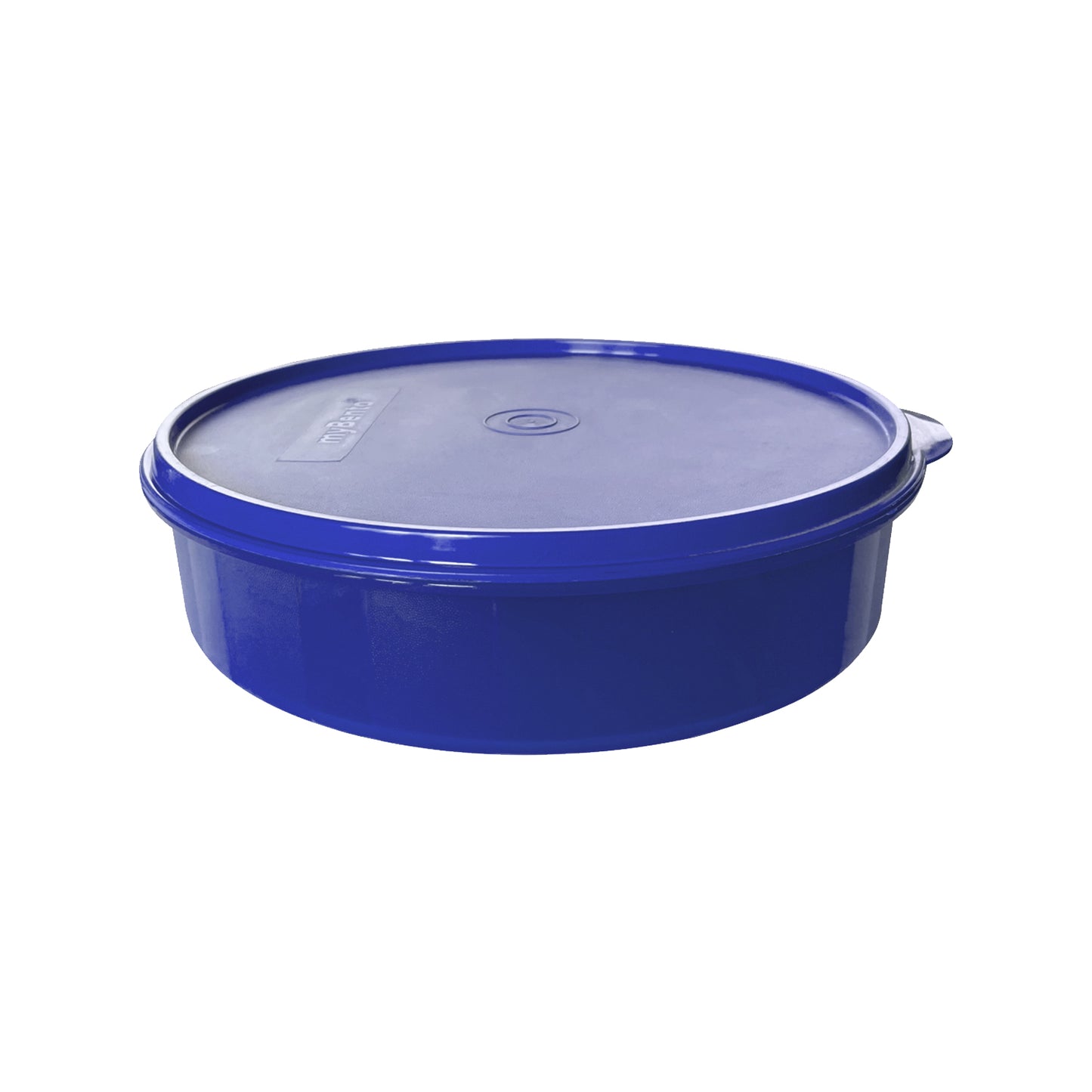 Chappathi/Pappad Box